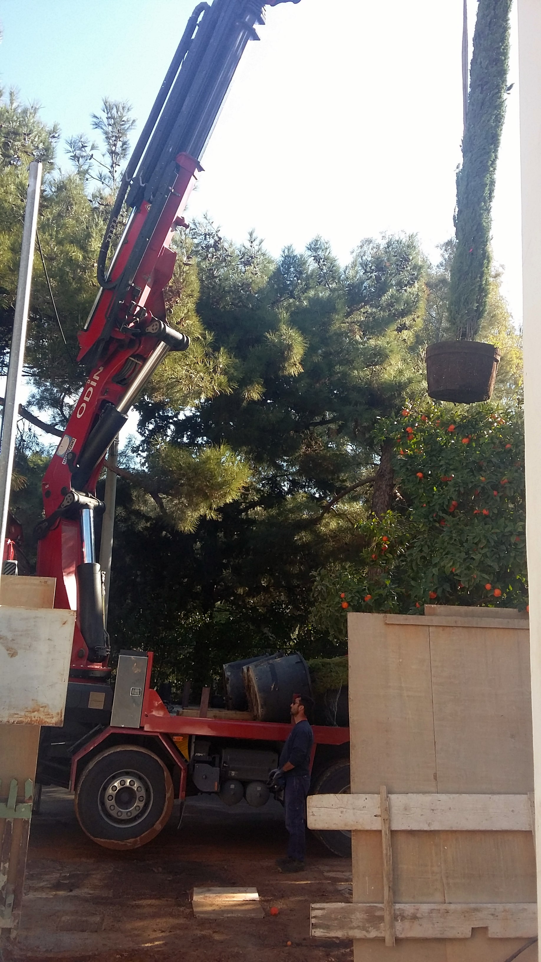 κατασκευη κηπου στο ψυχικο (4)